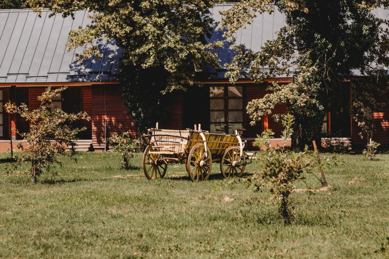 Hotel Vukovarska Kuca Exteriér fotografie